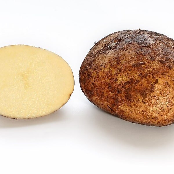Fingerling Potato