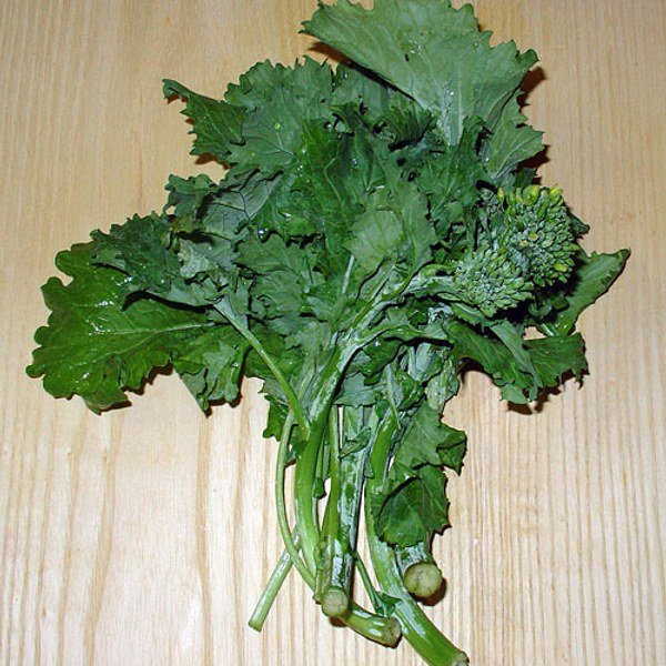Broccoli Rabe Rapini