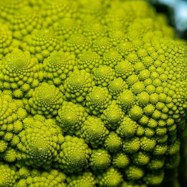 Romanesco Cauliflower