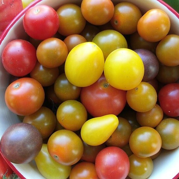 Grape Tomato Cluster