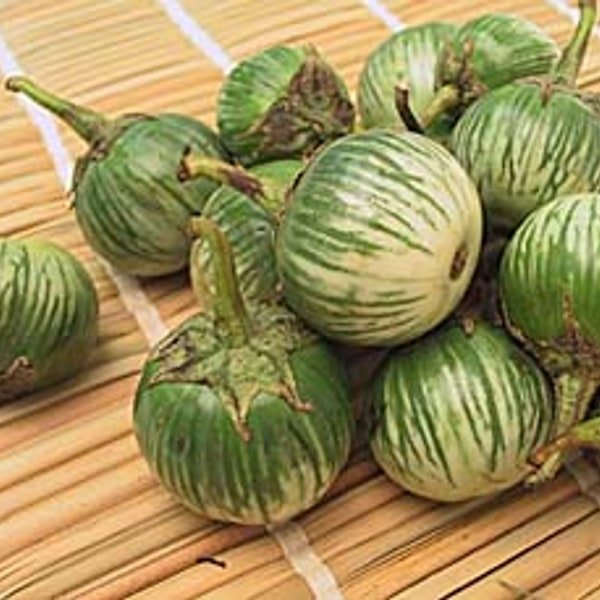 Thai Round Eggplant