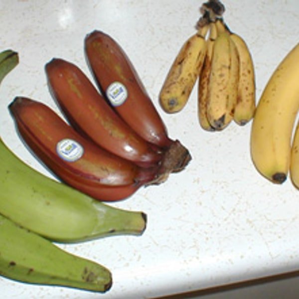 Plantain Green Cooking