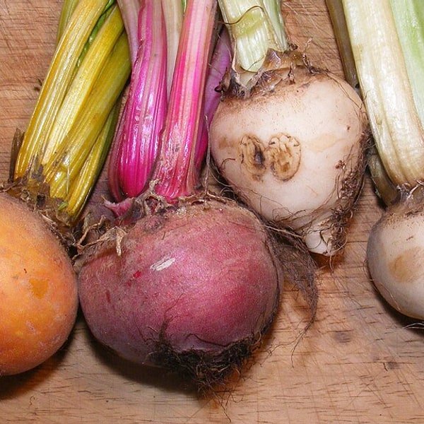 Beet Greens Bunch